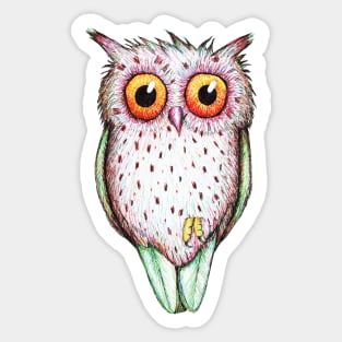 Cute colored owl Sticker